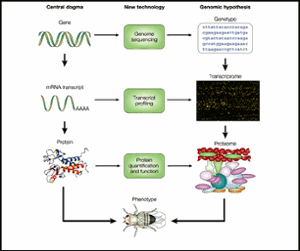 Statistical Bioinformatics